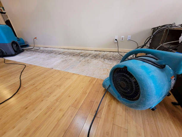 Professional Basement Flood Cleanup technician working in Lafayette, IN